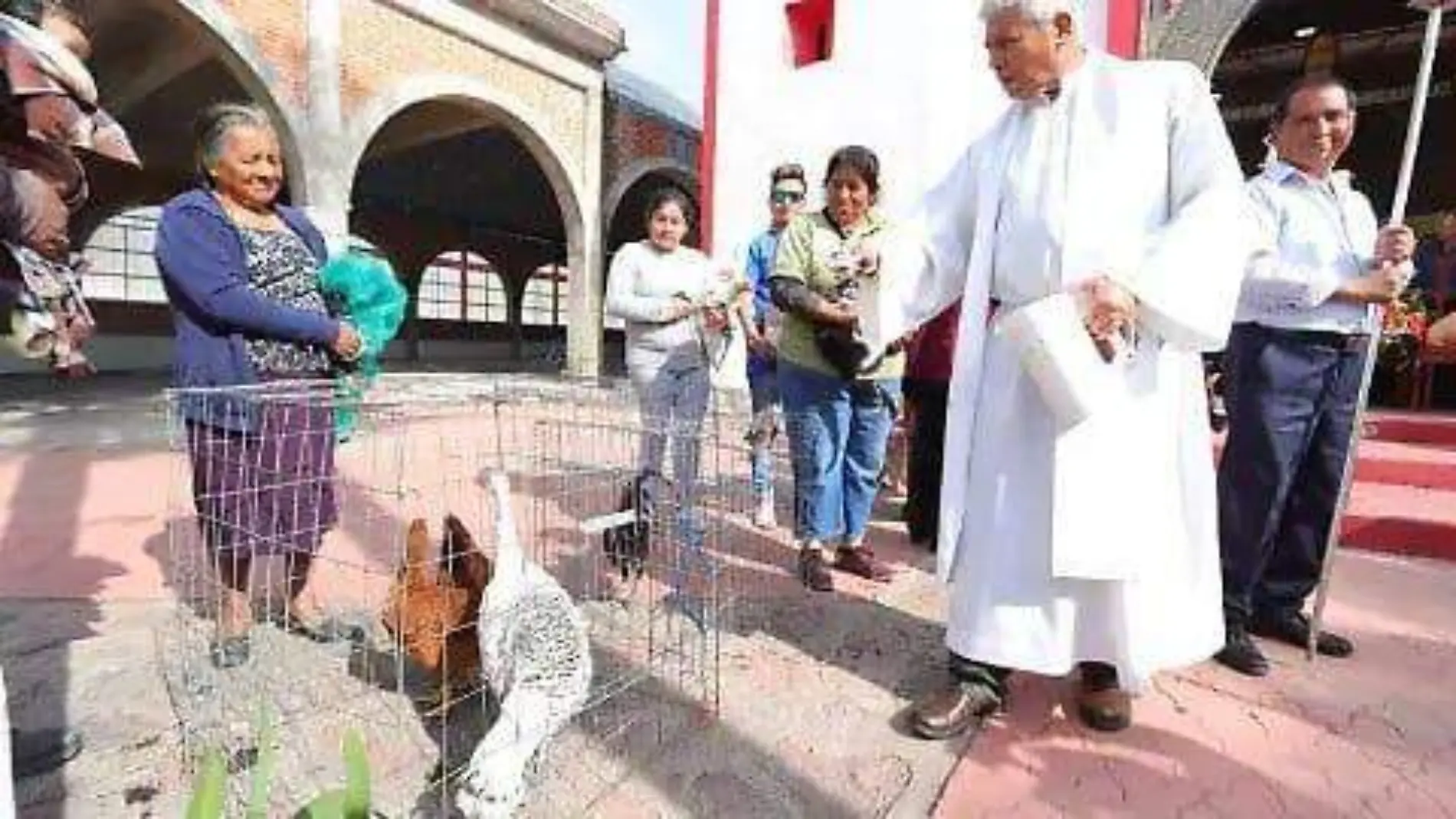 Bendición de animales (2)